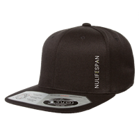 NuLifeSpan Vertical Logo Black Snapback Hat