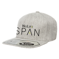 NuLifeSpan Grey Snapback Hat