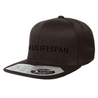 NuLifeSpan Black Snapback hat
